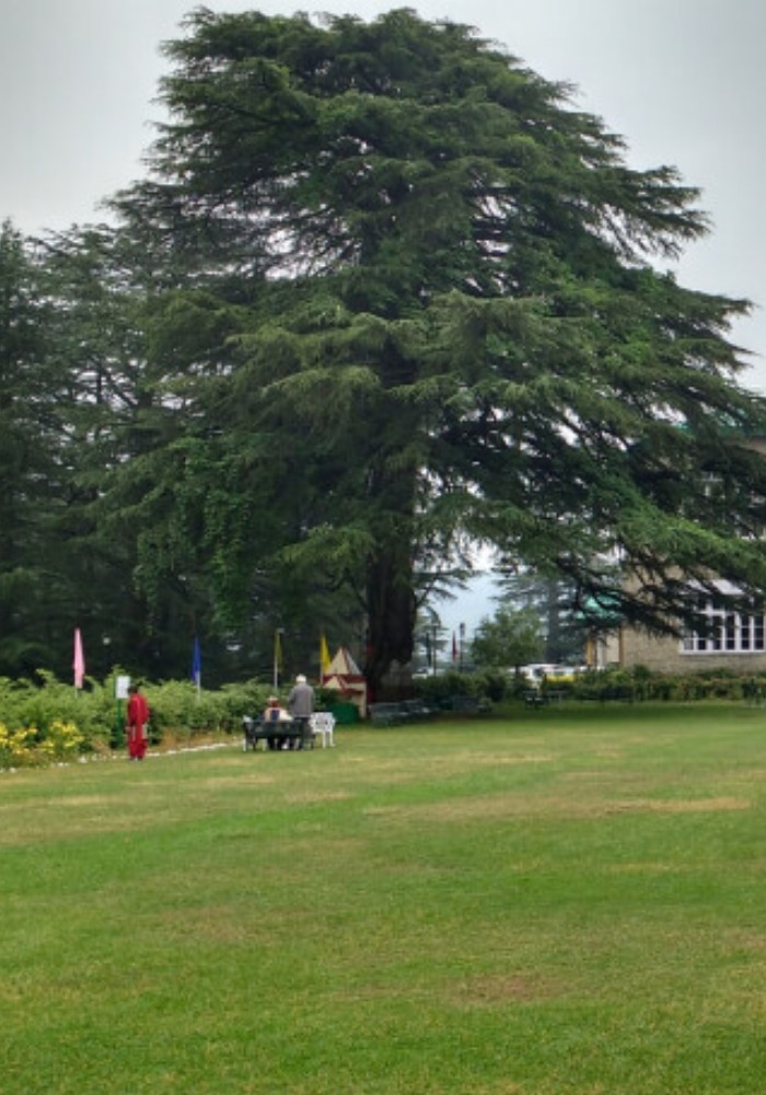 Chail-Himachal