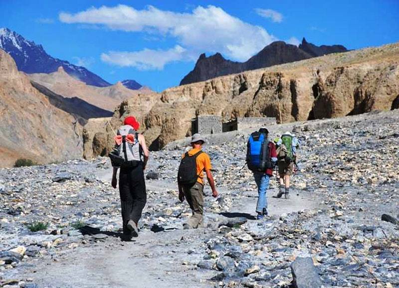 Chilling Markha & Rupshu Valley Trek